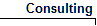  Consulting 